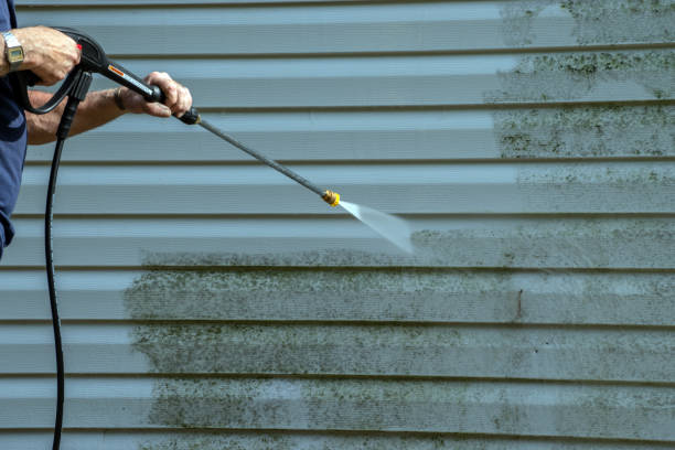Best Exterior Home Cleaning  in Troup, TX