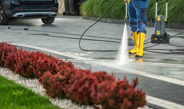 Best House Pressure Washing  in Troup, TX